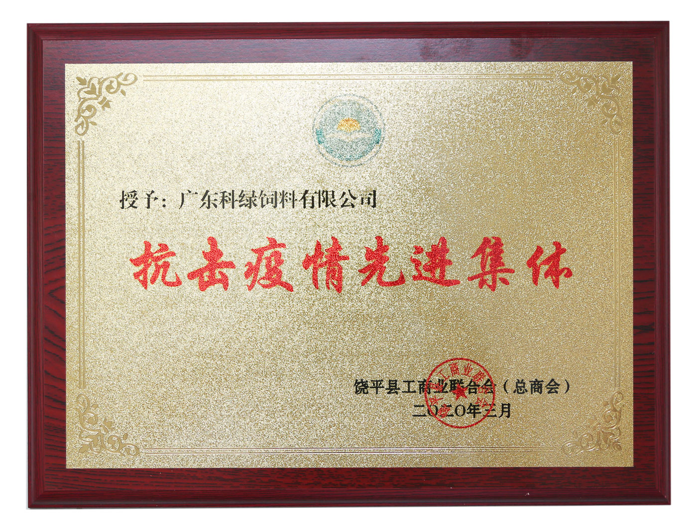 抗擊疫情先進(jìn)集體